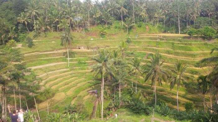 Mengapa bangsa indonesia mendapat julukan negara agraris