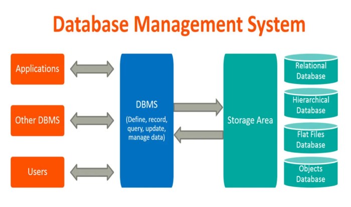 Mengapa dibutuhkan basis data dan dbms dalam suatu sistem data