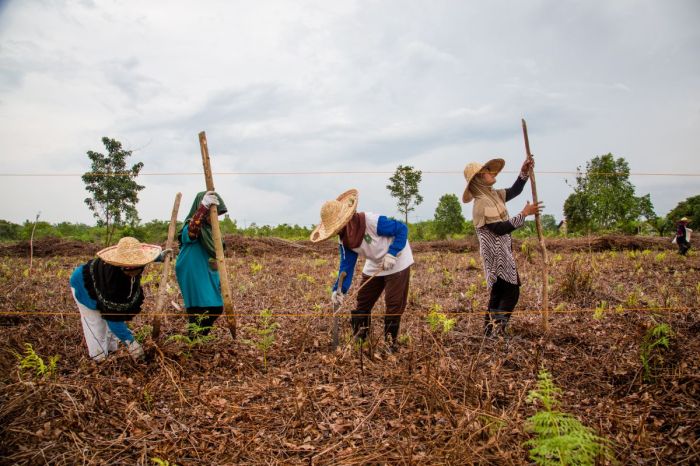 Mengapa gotong royong diperlukan untuk menanggulangi kebakaran hutan