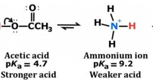 Nh3 asam atau basa