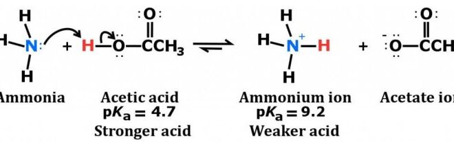 Nh3 asam atau basa