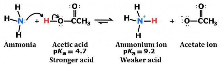 Nh3 asam atau basa