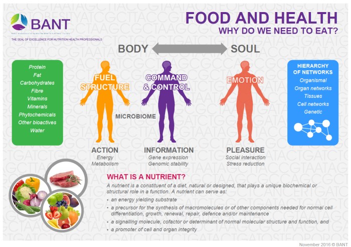 Bant wellbeing health eat food we guidelines why need energy poster do role