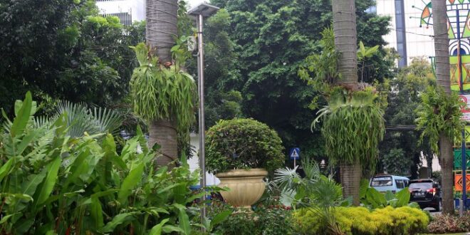 Plants jakarta places birds animals people plant