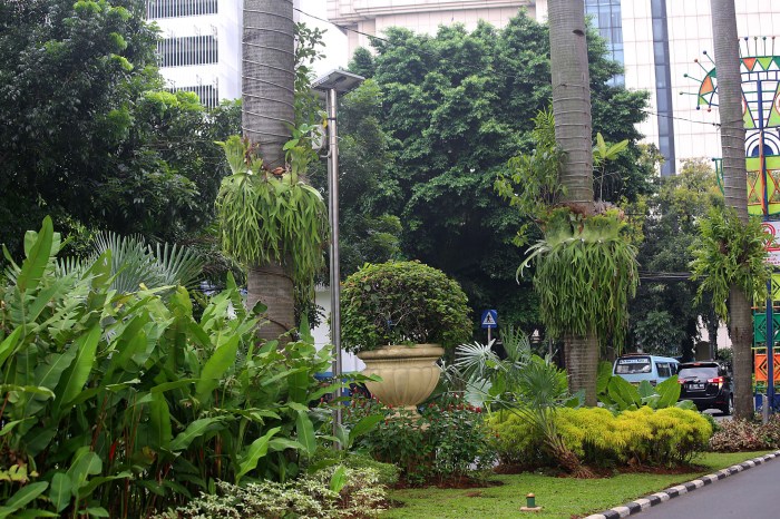 Plants jakarta places birds animals people plant