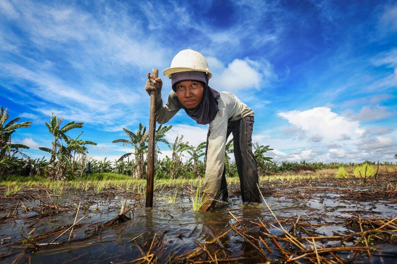 Indonesia mempunyai sumber daya alam yang melimpah karena