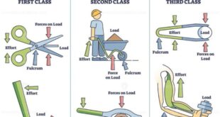 Lever levers classes fulcrum effort bones cub when using nod joints sph4c advantage education