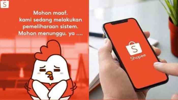 Kenapa pengiriman shopee lama