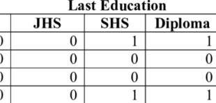 Respondent demography