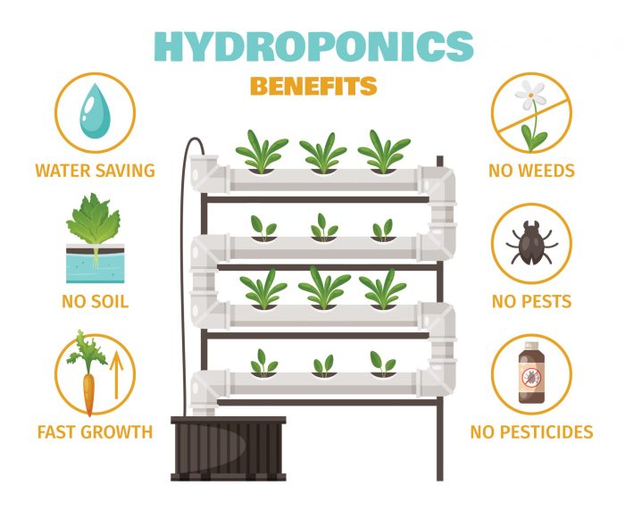 Hydroponics