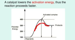 Speed catalysts do reactions gcse effect chemistry