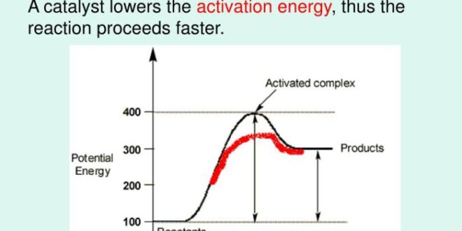 Speed catalysts do reactions gcse effect chemistry