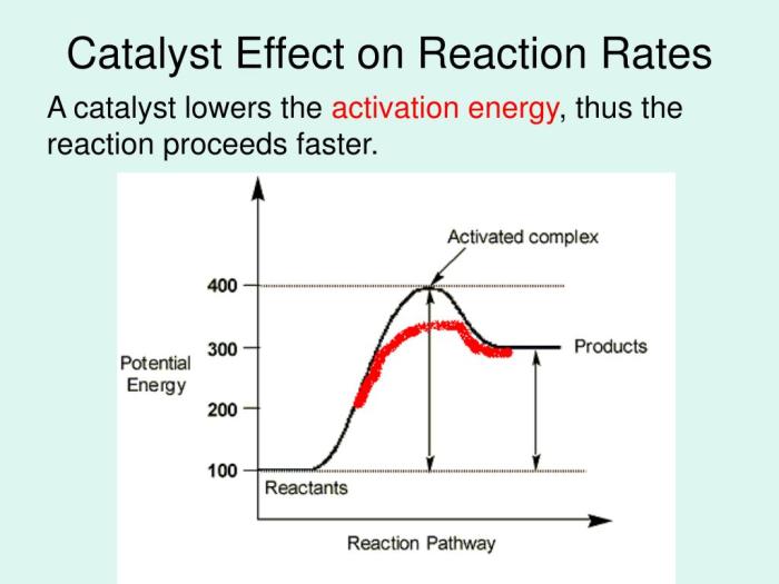 Speed catalysts do reactions gcse effect chemistry