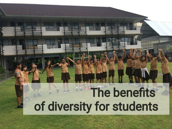 Diversity school inclusion diverse