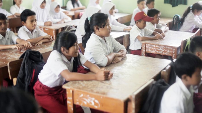 Sedangkan nama domain yang digunakan untuk sekolah di indonesia adalah