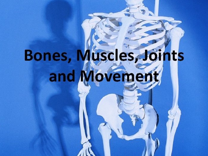 Movements hinge joints