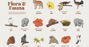 Mengapa menggambar fauna lebih sulit daripada menggambar flora