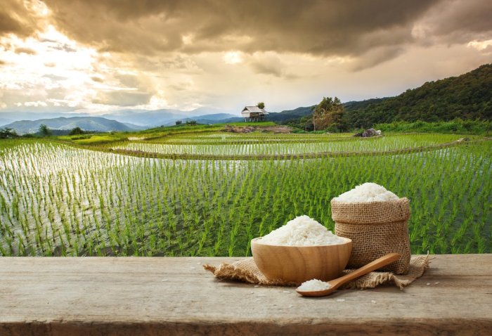 Mengapa thailand dijuluki sebagai lumbung padi asia