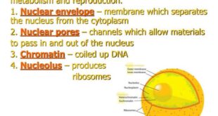 Cell unit