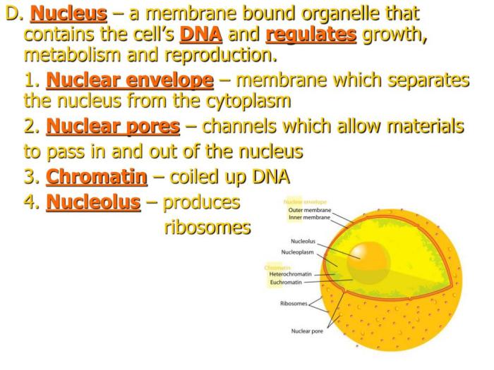 Cell unit