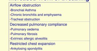 Exercise breathing rate during happens physiology