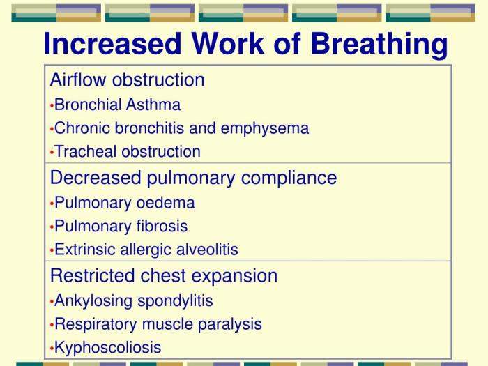 Exercise breathing rate during happens physiology