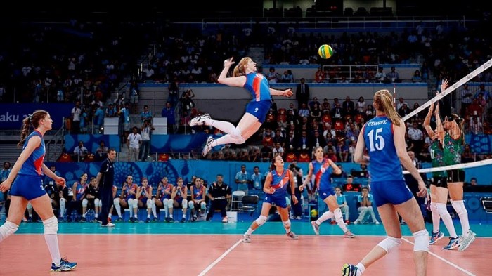 Volleyball playing court play game techniques rules