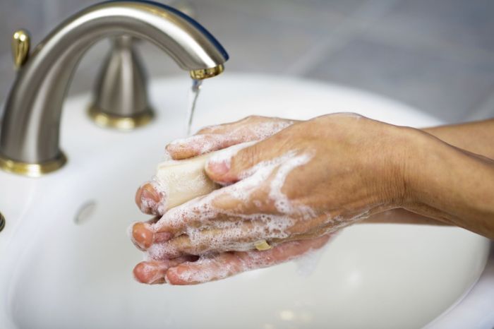 Hands wash why we our lesson department florida health germs