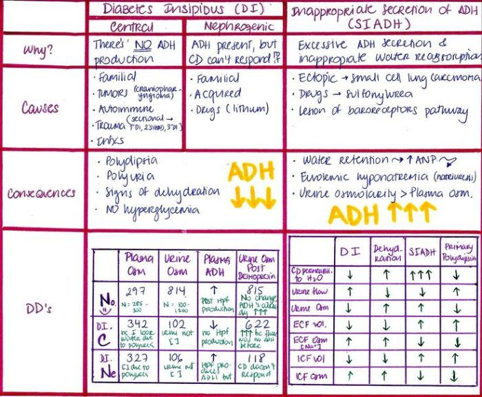 Pada penderita diabetes melitus urine mengandung