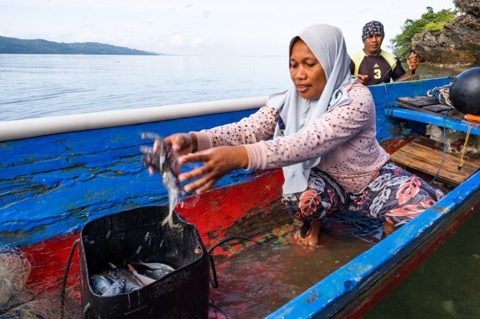 Sektor perikanan di indonesia memiliki potensi sangat besar karena