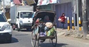 Tukang becak merupakan pekerjaan yang dilakukan di bidang