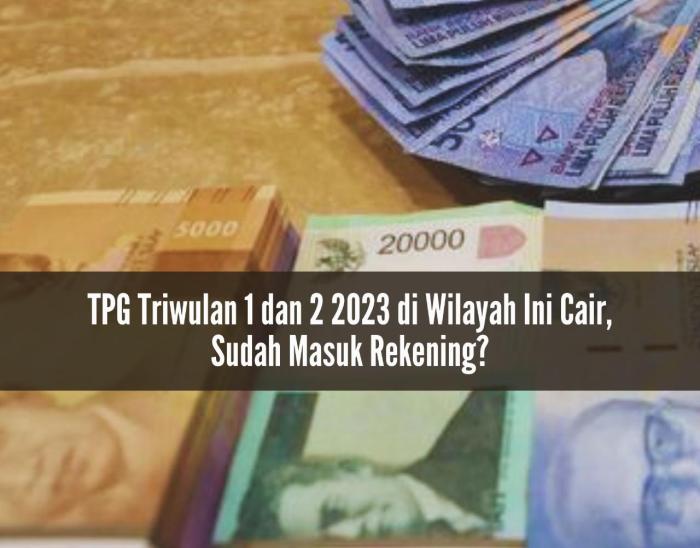 Apa itu tpg