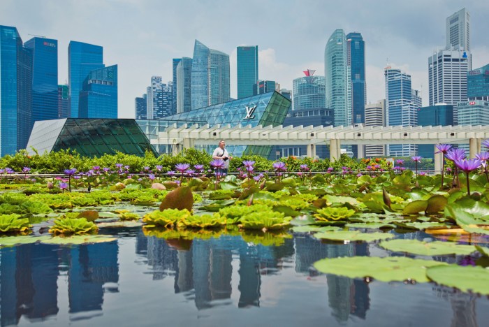 Jelaskan mengapa singapura lebih berfokus pada perdagangan dan industri