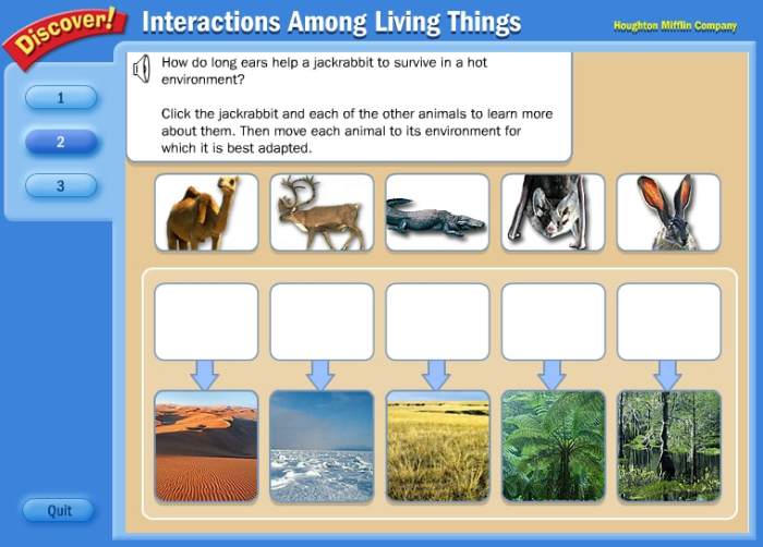 Camel adaptations adapted behavioral characteristics survive helps