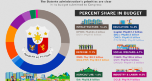 Process budget government ph