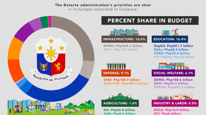 Process budget government ph