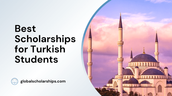 Turkiye scholarships