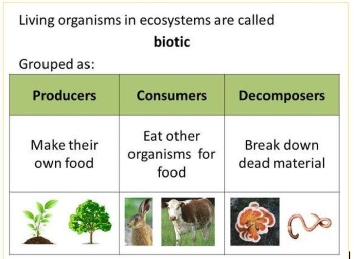 Mengapa komponen biotik suatu ekosistem sangat dipengaruhi oleh komponen abiotik