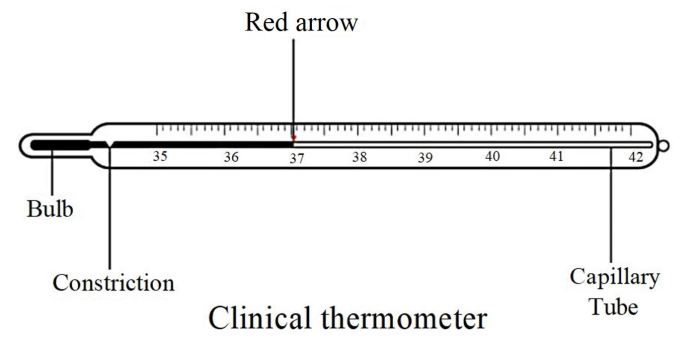 Termometer klinis memiliki skala