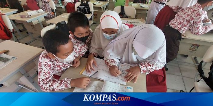 Cek nss sekolah