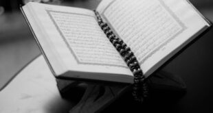 Manfaat membaca surat al mulk setelah sholat isya