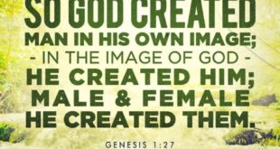 Creation days genesis