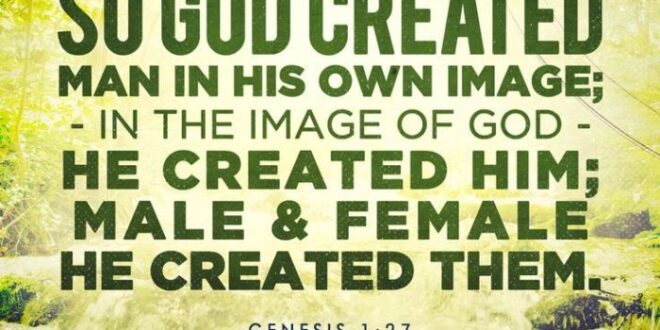 Creation days genesis