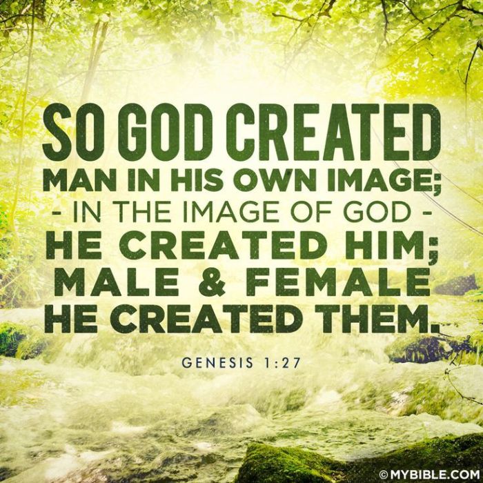 Creation days genesis