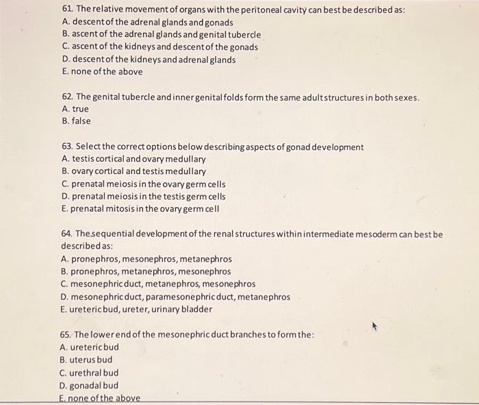 Movements body bones functions ppt powerpoint presentation 13a figure