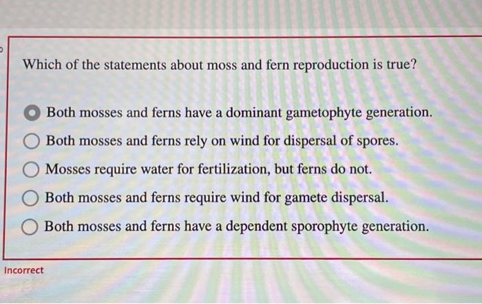 Ferns fern plant anatomy frond structure plants diagram facts pteridophyta morphology de interesting types parts pteridophytes names rhizome xylem leaves