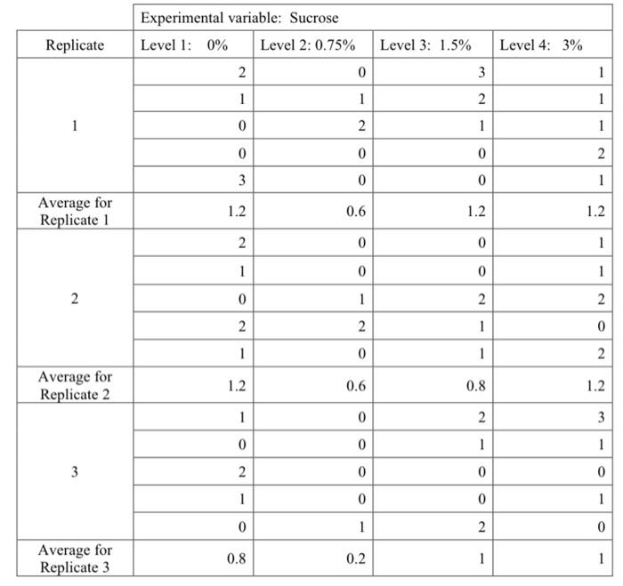 Lab report template templates format examples templatelab