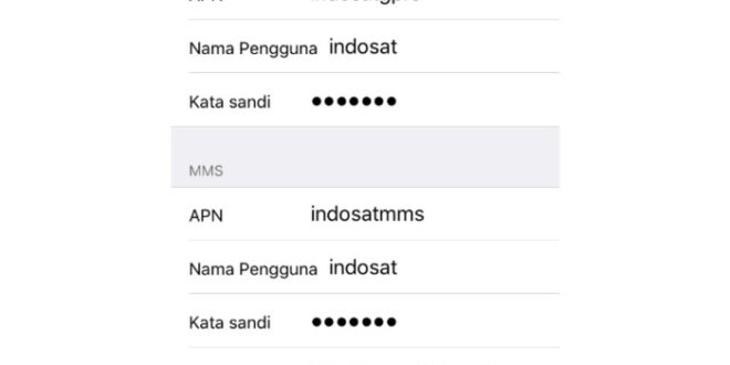 Kenapa paketan indosat tidak bisa digunakan