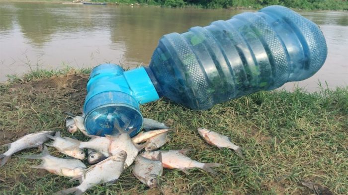 Bagaimana cara menangkap ikan agar tidak mengganggu keseimbangan lingkungan