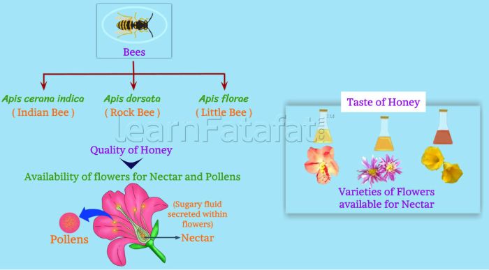 Apa saja cabang biologi yang diterapkan dalam bidang peternakan